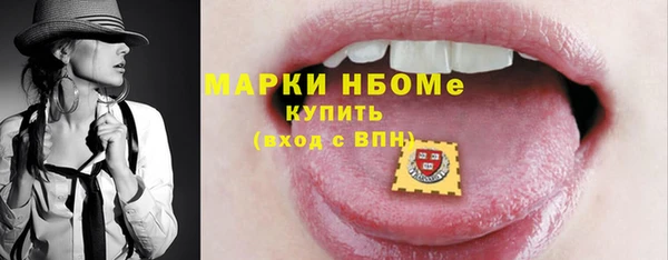 индика Богородицк